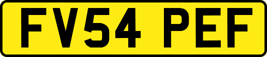 FV54PEF