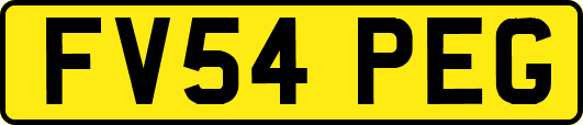 FV54PEG