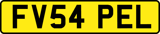 FV54PEL