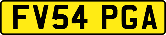 FV54PGA