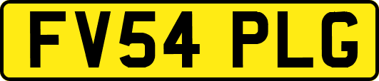 FV54PLG