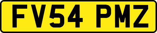 FV54PMZ