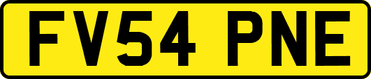 FV54PNE