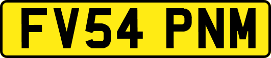 FV54PNM