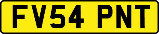 FV54PNT