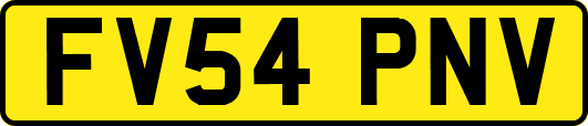 FV54PNV
