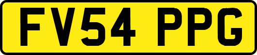 FV54PPG