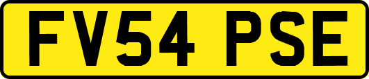 FV54PSE