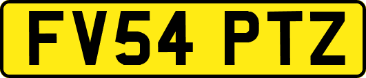 FV54PTZ