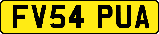 FV54PUA