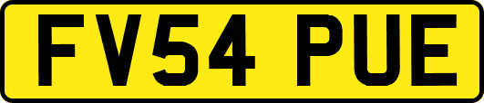 FV54PUE