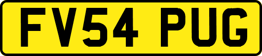 FV54PUG