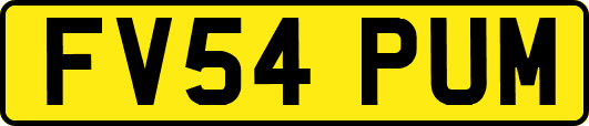 FV54PUM