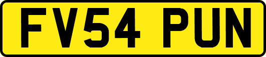 FV54PUN