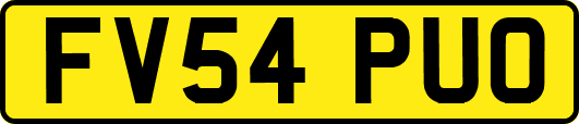 FV54PUO
