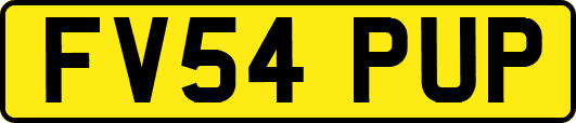 FV54PUP
