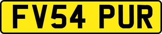 FV54PUR