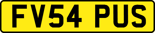 FV54PUS