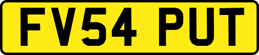 FV54PUT