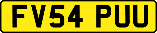 FV54PUU