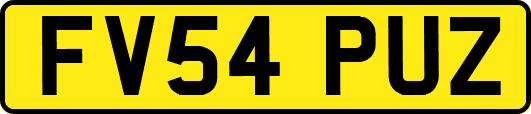 FV54PUZ
