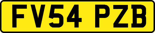 FV54PZB