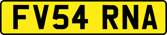 FV54RNA