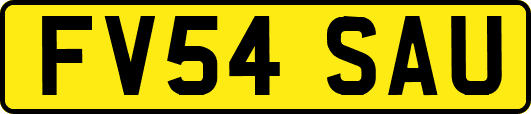 FV54SAU