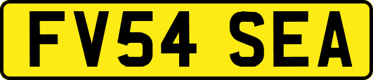 FV54SEA