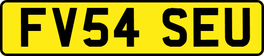 FV54SEU