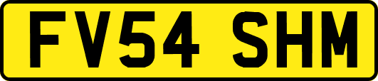 FV54SHM
