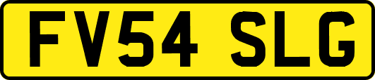 FV54SLG