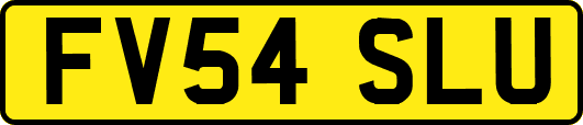 FV54SLU