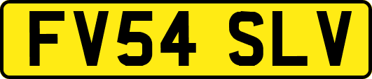 FV54SLV