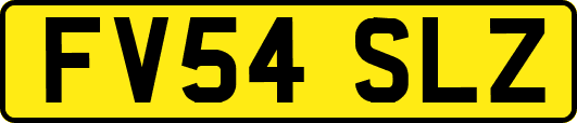 FV54SLZ