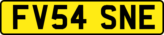 FV54SNE