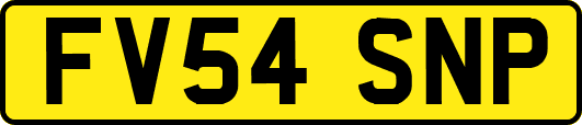 FV54SNP