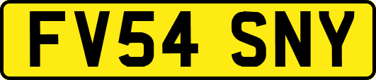 FV54SNY