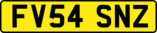 FV54SNZ