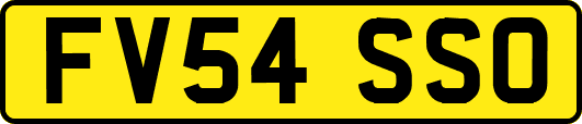 FV54SSO
