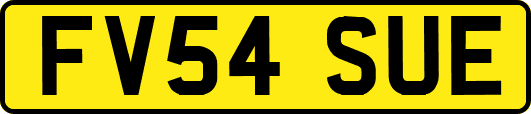 FV54SUE