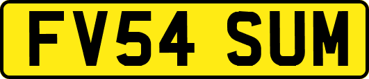 FV54SUM