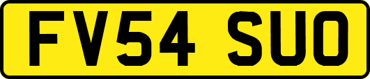 FV54SUO