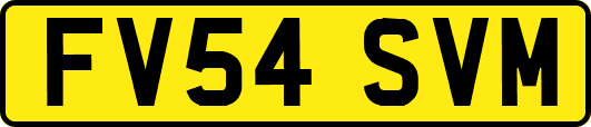 FV54SVM