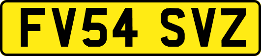 FV54SVZ