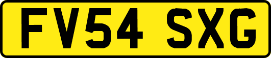 FV54SXG
