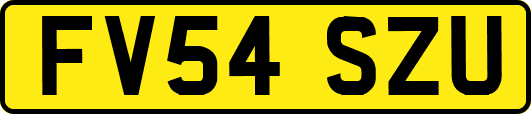 FV54SZU
