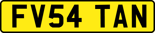 FV54TAN