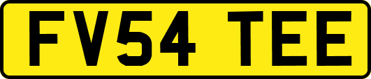 FV54TEE