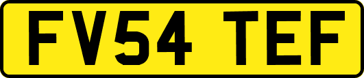 FV54TEF